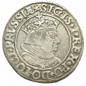 Žigmund I. Starý, groš za pruské krajiny 1534, Toruň