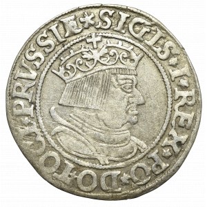 Sigismund I the Old, Groschen 1534, Thorn