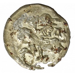 Sigismund II Augustus, Denarius 1556, Vilnius