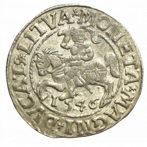 Sigismund II Augustus, Halfgroat 1546, Vilnius - LI/LITVA