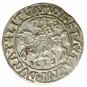 Sigismund II Augustus, Halfgroat 1556, Vilnius