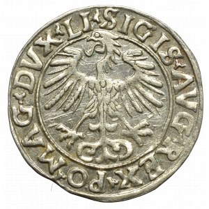 Sigismund II Augustus, Halfgroat 1556, Vilnius