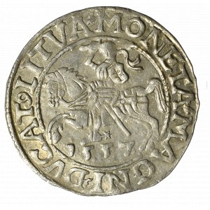 Žigmund II August, polgroš 1557, Vilnius - LI/LITVA