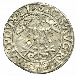 Sigismund II Augustus, Half-groat 1557, Vilnius - LI/LITVA