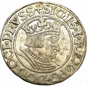 Zygmunt I Stary, Grosz 1535, Gdańsk - PRVSS