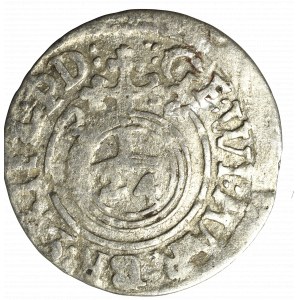 Prusy Książęce, Półtorak 1622, Królewiec - 2-2