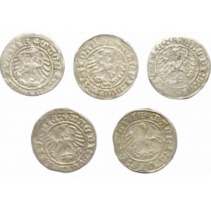 Sigismund I the Old, Set of half-pennies