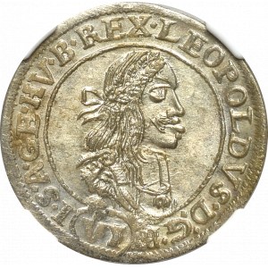 Hungary, Leopold I, 6 kreuzer 1672 - NGC MS65