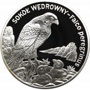 III RP, 20 gold 2008 Peregrine falcon