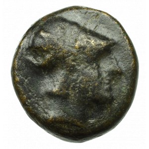 Království Seleukidů, Demetrius Polorketes, Ae Salamina