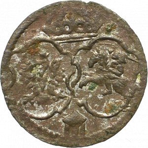 Zikmund III Vasa, denár 1623, Łobżenica