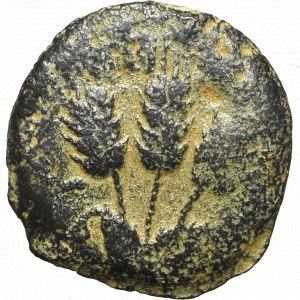 Judea, Królestwo Herodów, Agryppa I (37-44), Prutah