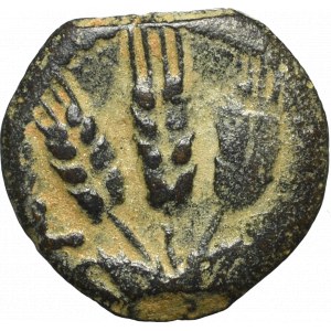 Judea, Herodian Kingdom, Agrippa I (37-44), Prutah