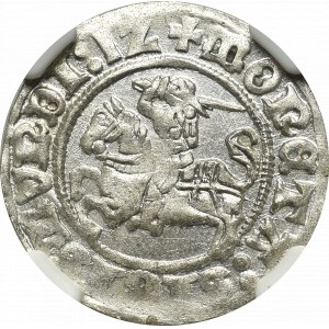 Zikmund I. Starý, půlpenny 1512, Vilnius - NGC MS64
