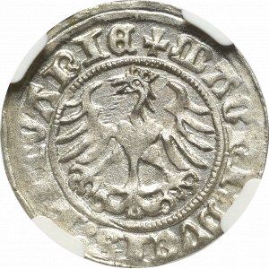 Zikmund I. Starý, půlpenny 1512, Vilnius - NGC MS64