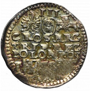 Zikmund III Vasa, Trojak 1595, Bydgoszcz - nesignováno POL/POLONI