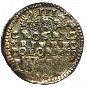Zygmunt III Waza, Trojak 1595, Bydgoszcz - nieopisany POL/POLONI