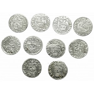 Sigismund III Vasa, Set of half-tracks (10 copies)