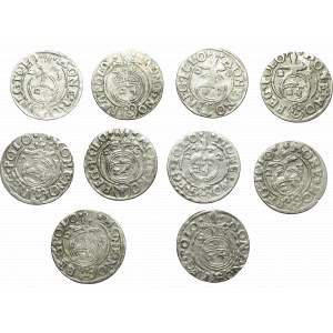 Sigismund III Vasa, Set of half-tracks (10 copies)