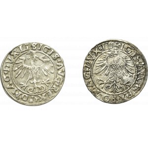 Žigmund II August, sada polpencov 1555 a 1561