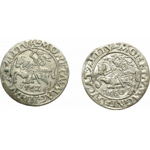 Sigismund II Augustus, Half-penny set 1560 and 1562