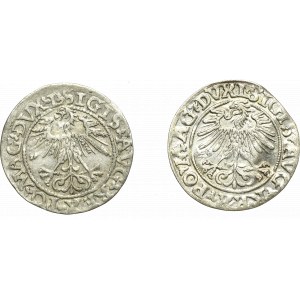 Zikmund II Augustus, sada půlgrošů 1560 a 1562