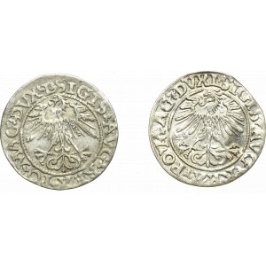 Sigismund II Augustus, Half-penny set 1560 and 1562