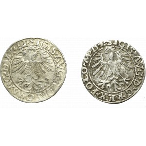 Zygmunt II August, Zestaw półgrosz 1562 i 1563