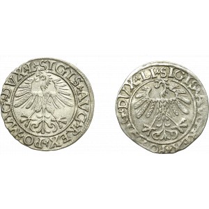 Zikmund II Augustus, sada půlpencí 1559 a 1561