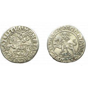 Sigismund II Augustus, Half-penny set 1548 and 1564