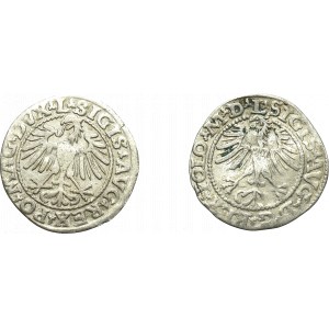 Sigismund II Augustus, Half-penny set 1548 and 1564