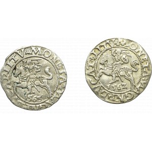 Sigismund II Augustus, Half-penny set 1562 and 1565