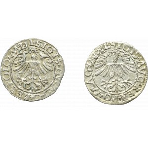 Zikmund II Augustus, sada půlpencí 1562 a 1565