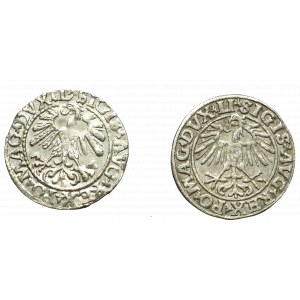 Zikmund II Augustus, sada půlpencí 1551 a 1559