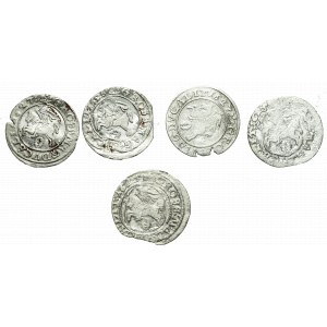 Sigismund III Vasa, Set of Vilnius pennies