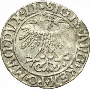 Žigmund II August, polgroš 1558, Vilnius - LI/LITV
