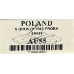 PRL, 5 groszy 1949 PRÓZE brass