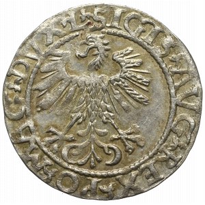 Zikmund II August, půlpenny 1561, Vilnius - L/LITVA