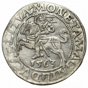 Zygmunt II August, Półgrosz 1563, Wilno - LI/LITVA
