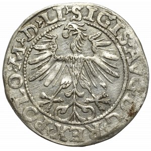 Sigismund II Augustus, Halfgroat 1563, Vilnius - LI/LITVA