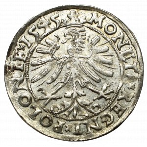 Zikmund I. Starý, Penny 1545, Krakovské korunované kříže