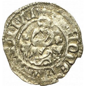 Kazimír III. velký, půlpenny bez datace, Krakov - žezlo mimo obturator