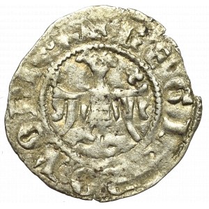 Kazimír III. velký, půlpenny bez datace, Krakov - žezlo mimo obturator
