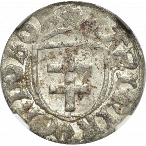 Casimir IV Jagellon, Schilling without date, Thorn - NGC MS63