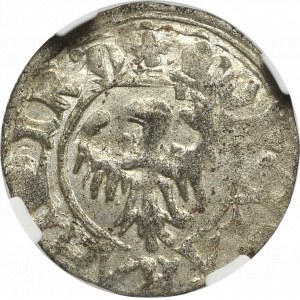 Casimir IV Jagellon, Schilling without date, Thorn - NGC MS63