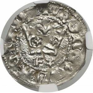 Vladislaus II, halfgroat without date, Cracov