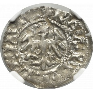 Vladislaus II, halfgroat without date, Cracov