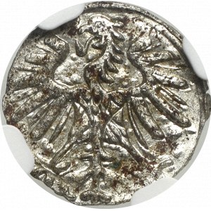 Zikmund II Augustus, denár 1554, Vilnius - NGC MS64