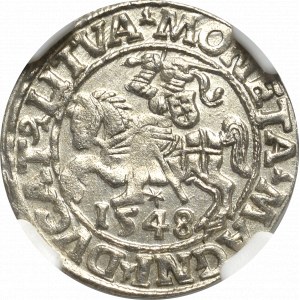 Zygmunt II August, Półgrosz 1548, Wilno - LI/LITVA - NGC MS65