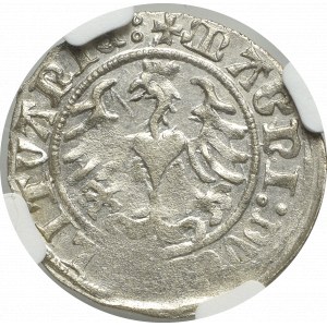 Zikmund I. Starý, půlpenny 1509, Vilnius - NGC MS62